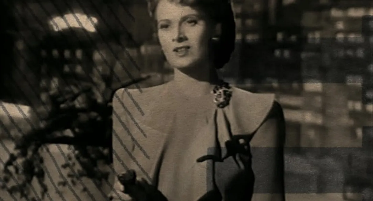 The Port of 40 Thieves