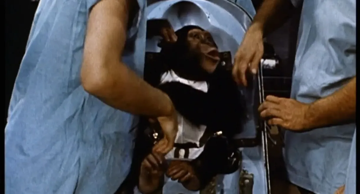 Ham: A Chimp into Space