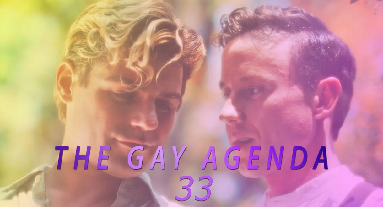 The Gay Agenda 33