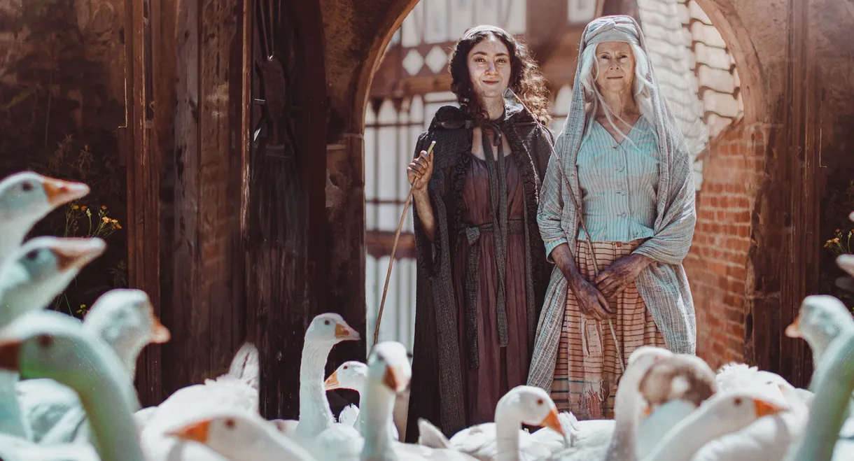 Die Gänseprinzessin