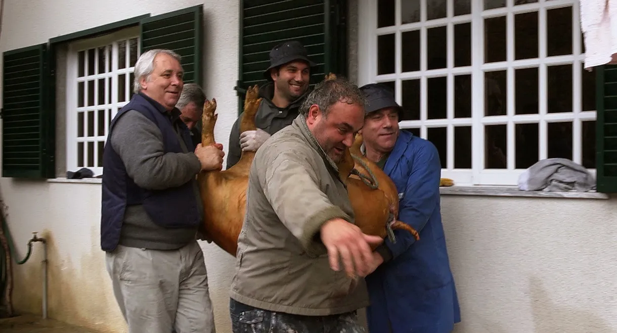 Raul Brandão was a Great Writer...