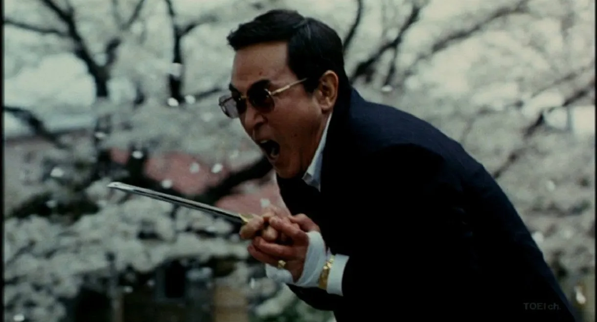 1750 Days of Turbulence