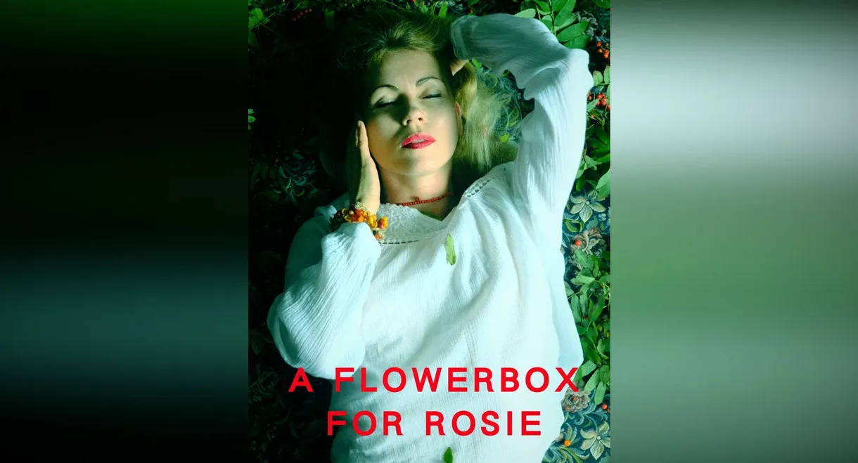 A Flowerbox for Rosie
