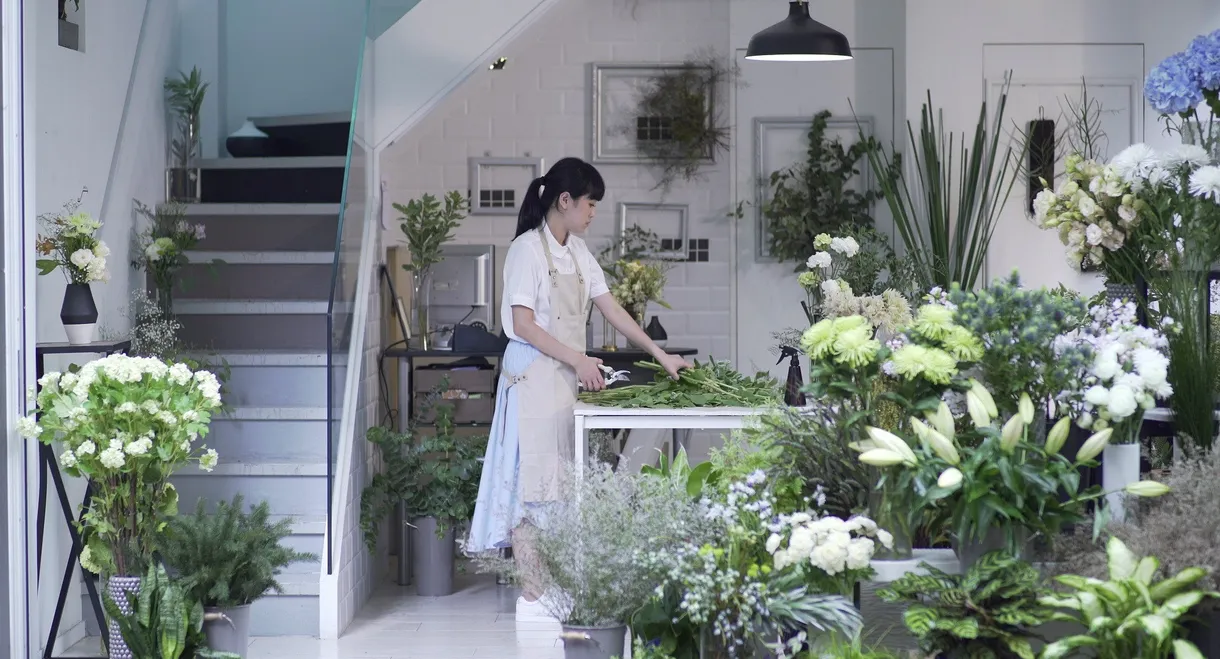 Little Shop of Grotesque