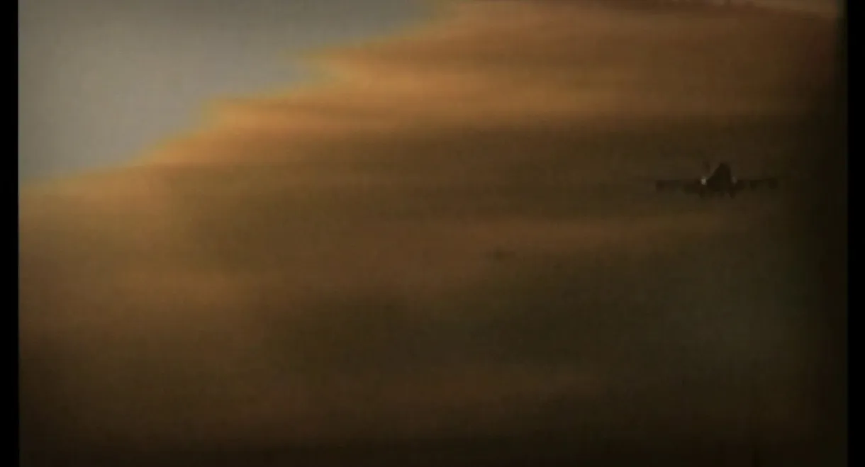 Journey into Perversion