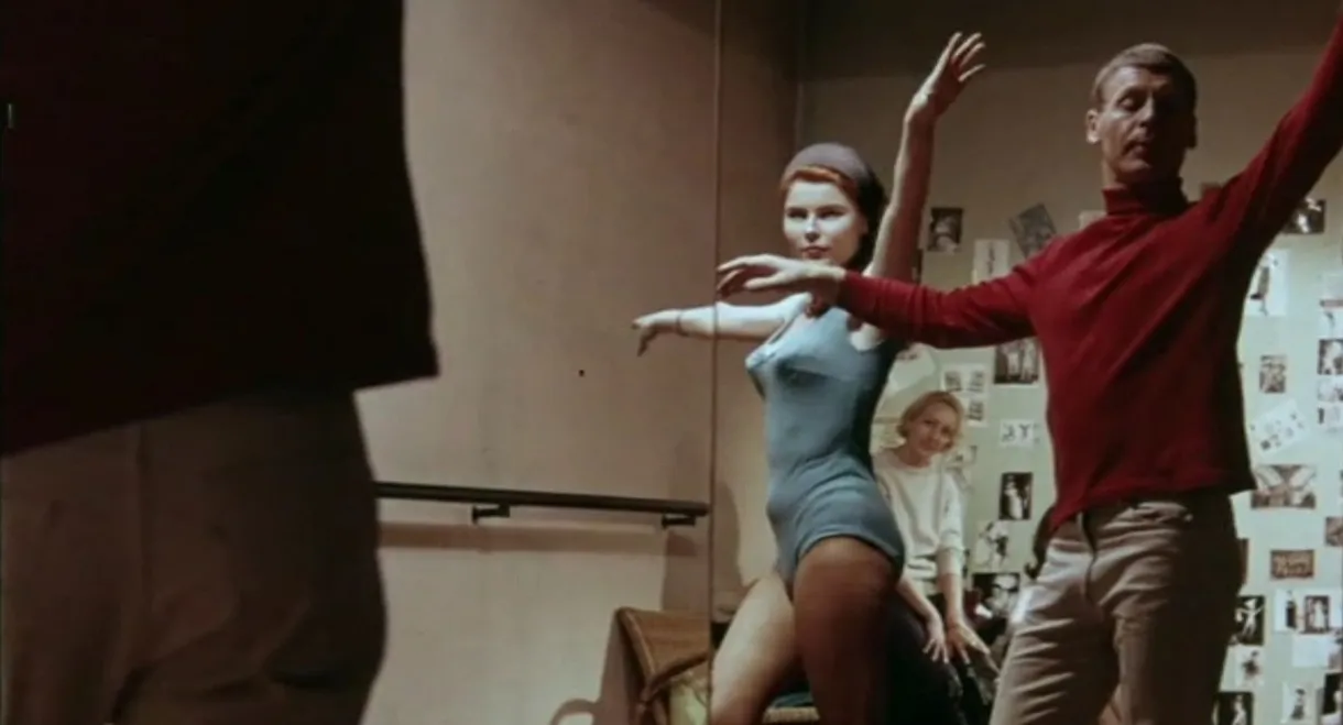 Sex in the Spotlight