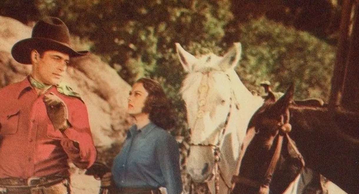 Bullets for Rustlers