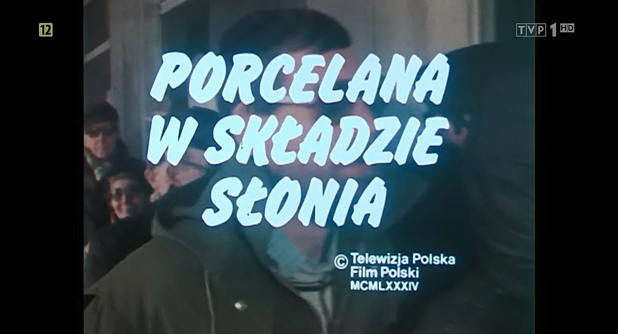 Porcelain in an Elephant's Shop