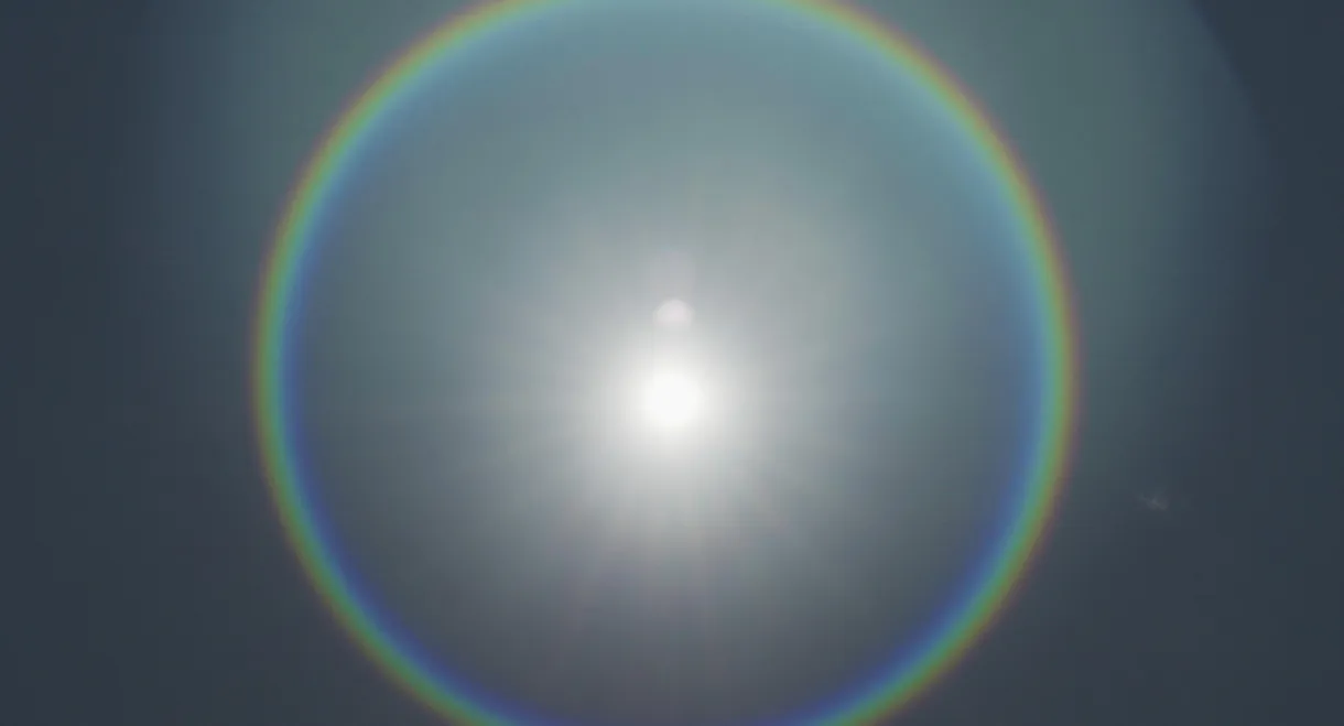 This Bright Light
