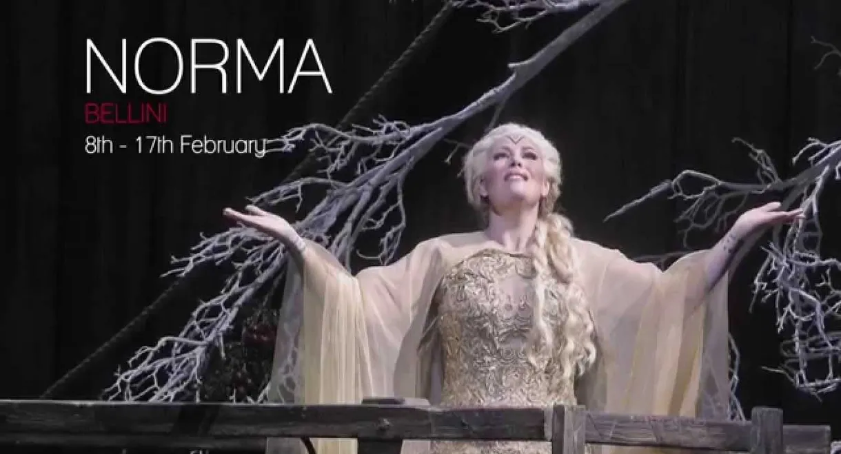 Bellini: Norma
