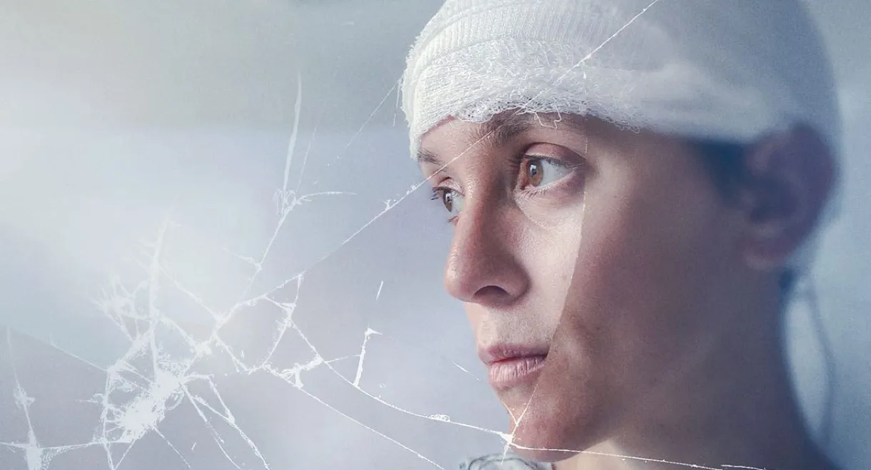 My Brain: After the Rupture