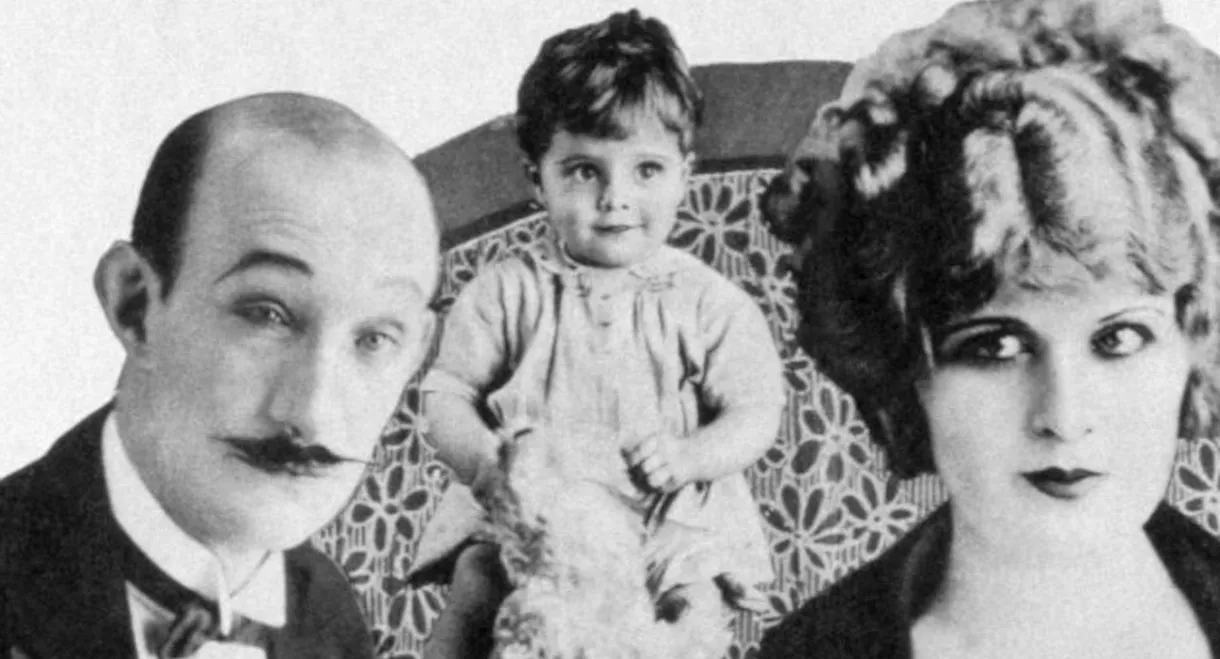 Don Key (Son of Burro)