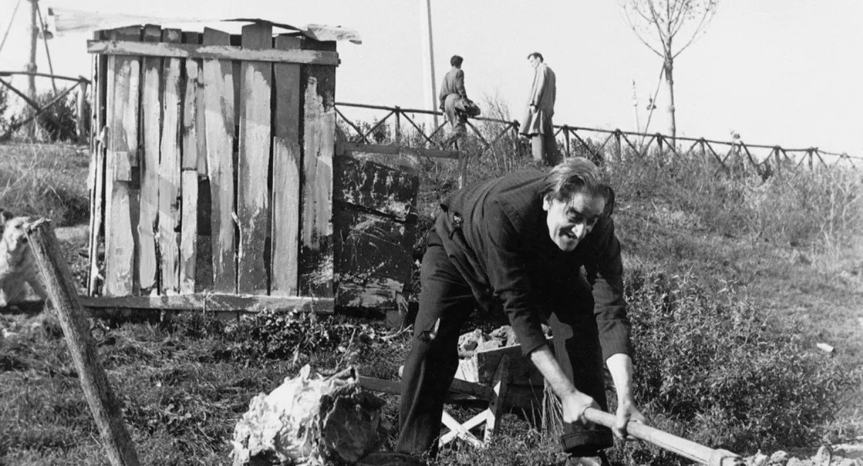 At the Edge of the City