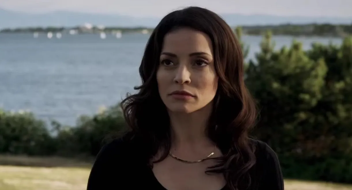 Stranger in the House