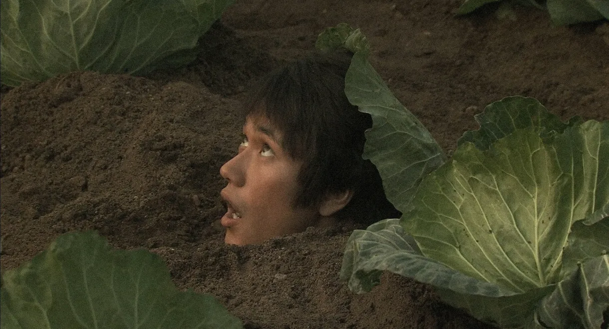 Bare Essence of Life