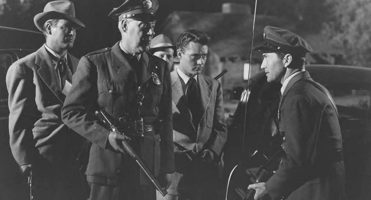 Lonely Heart Bandits