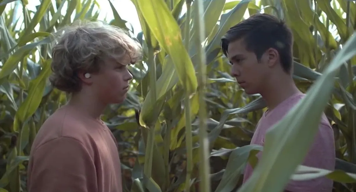 Desire: The Short Films of Ohm