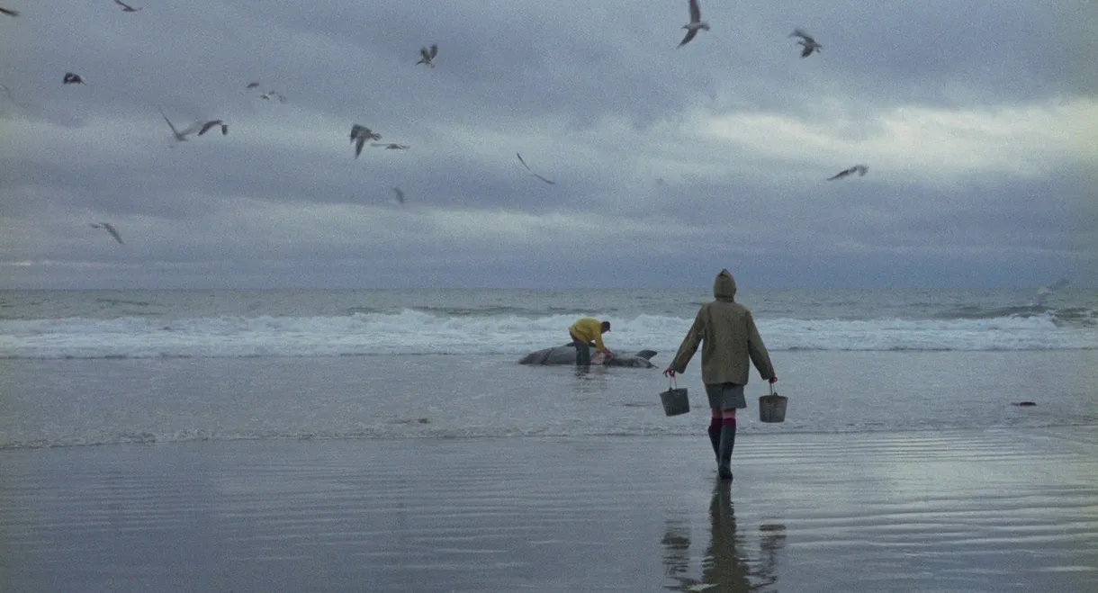 Ring of Bright Water