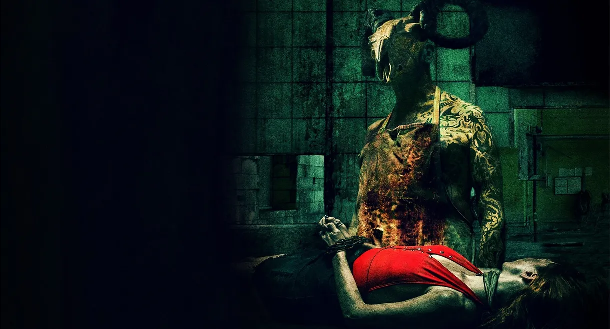 What the Waters Left Behind: Scars