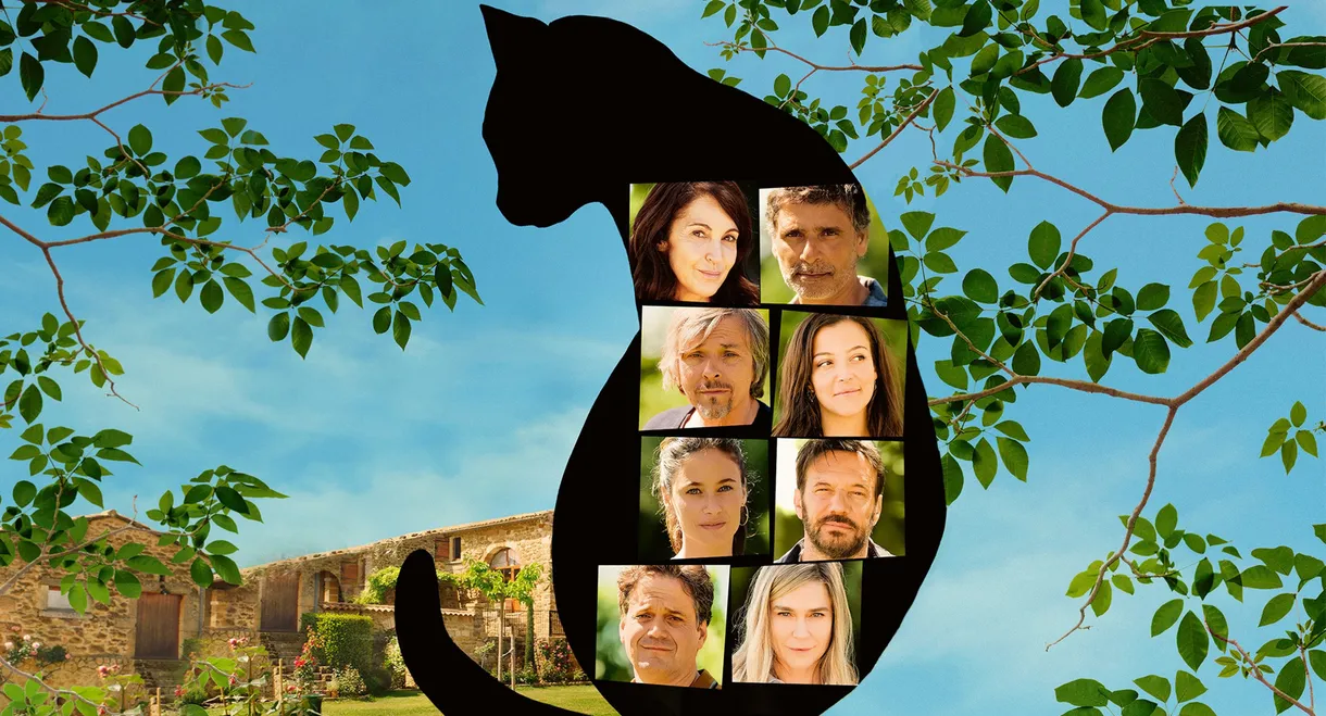 All Because of the Cat