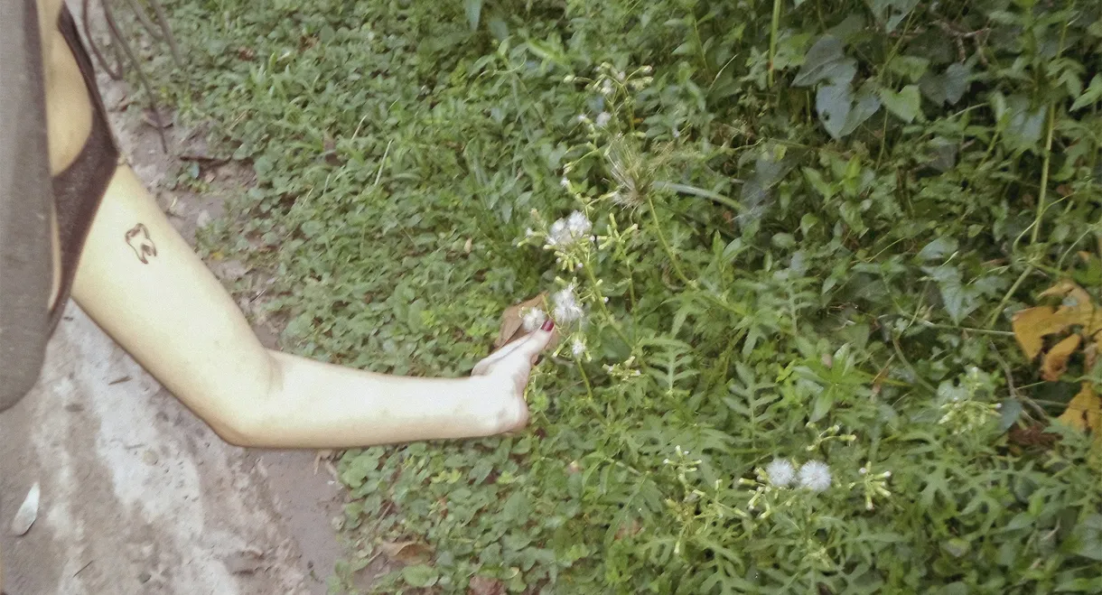 o céu diante dos meus olhos nunca é cinza