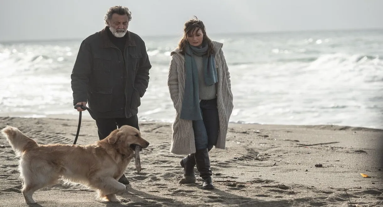 The Penitent: A Rational Man