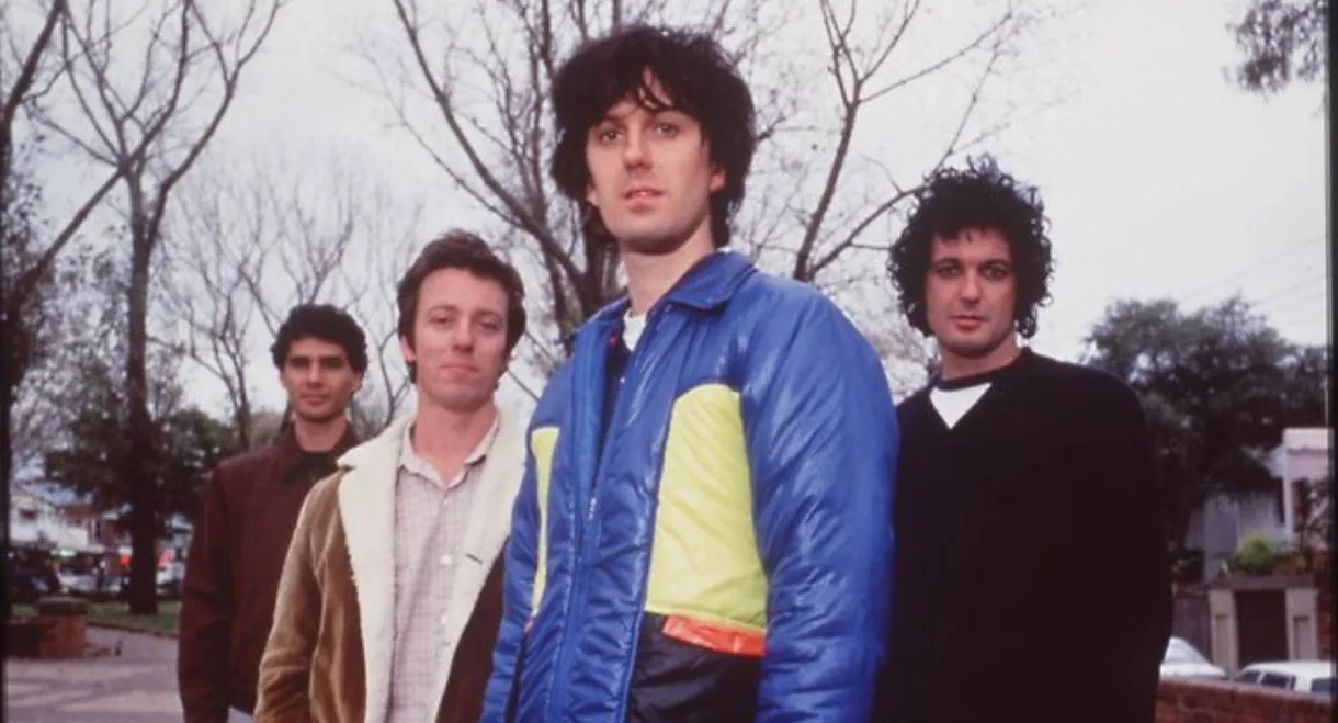 Beginner's Guide to Custard