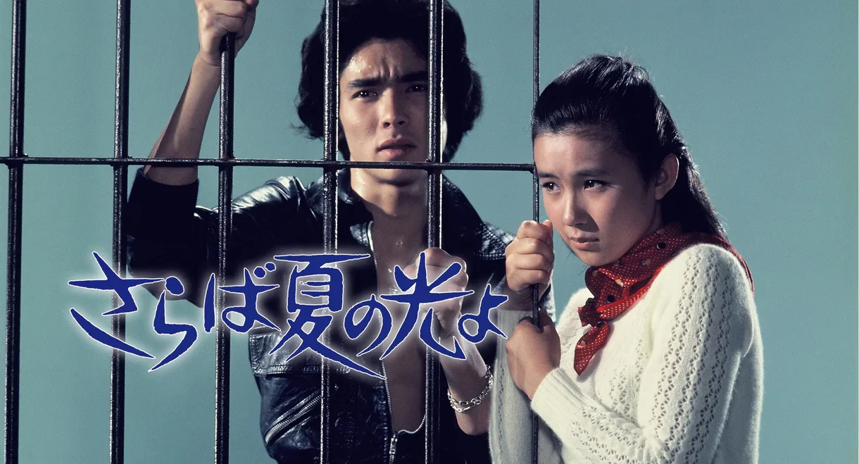 Light and Shade of Youth