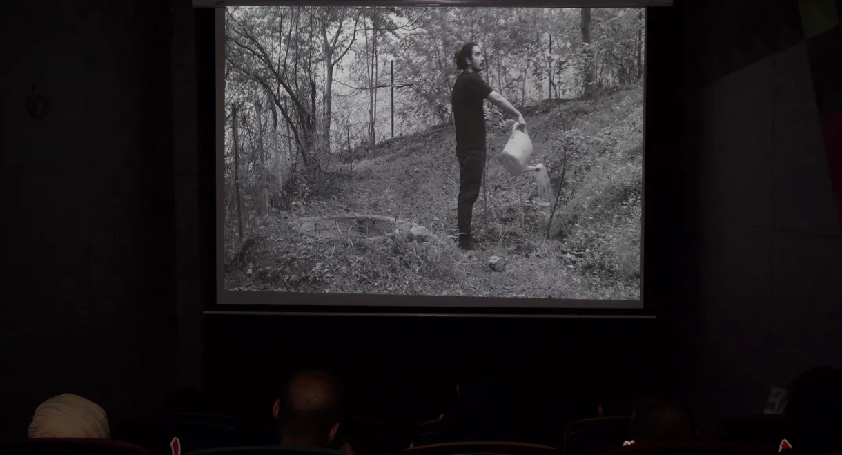 Magic in cinema