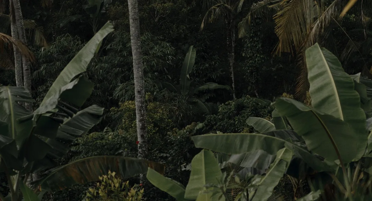 Possibility of Paradise