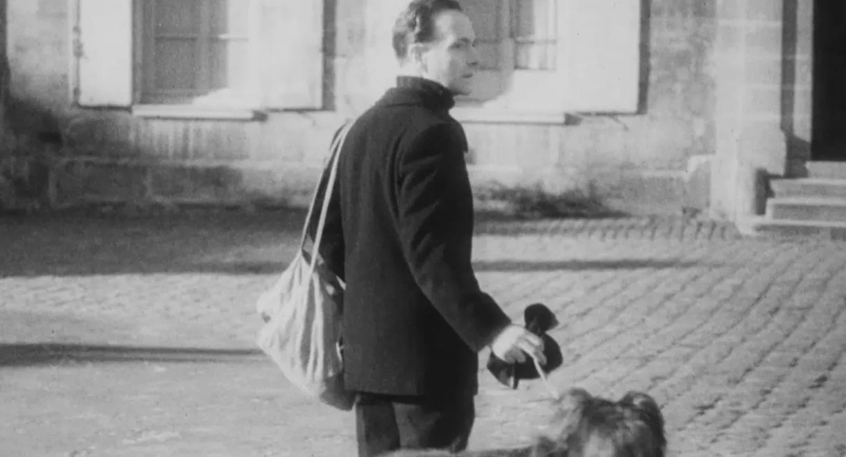 The Traveler Without Luggage