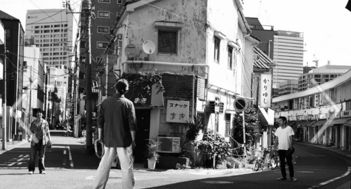 Sleep in the Shadows