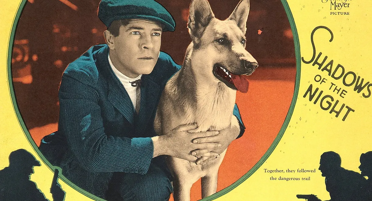 Shadows of the Night