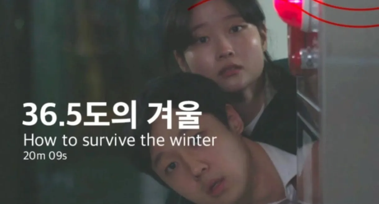 How to survive the winter