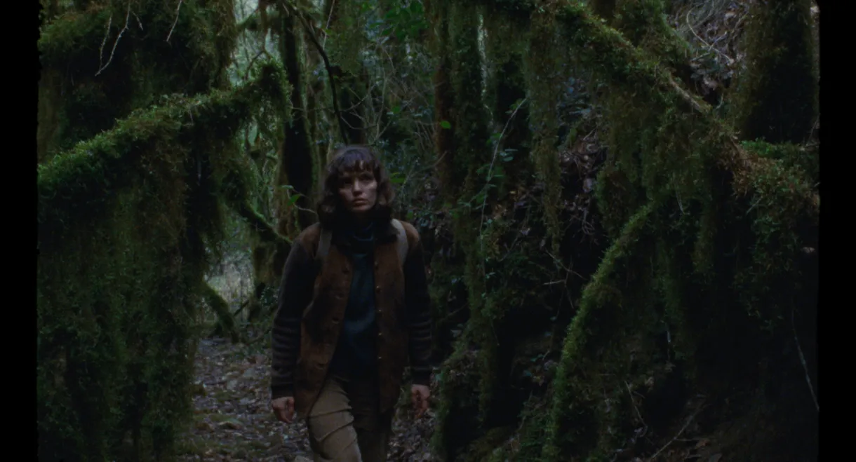 The Fountain of Memory