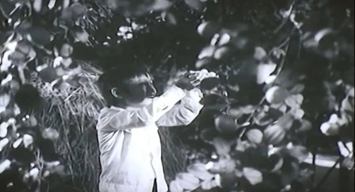 When Grandmother Is Away