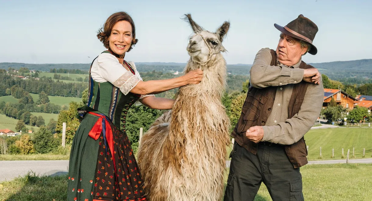 Zimmer mit Stall - Tierisch gute Ferien