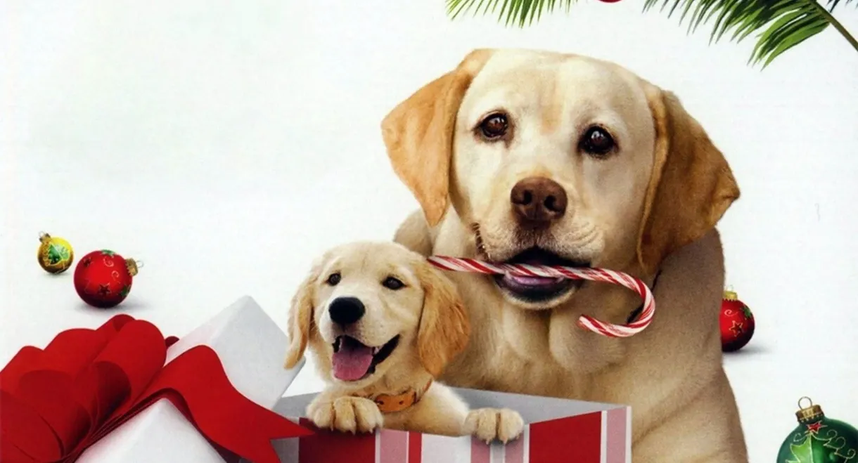 The Dog Who Saved the Holidays