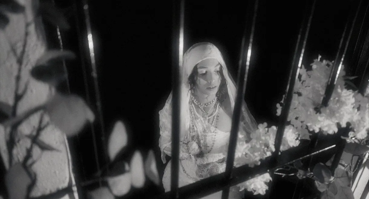 4esquinitas4angelitos