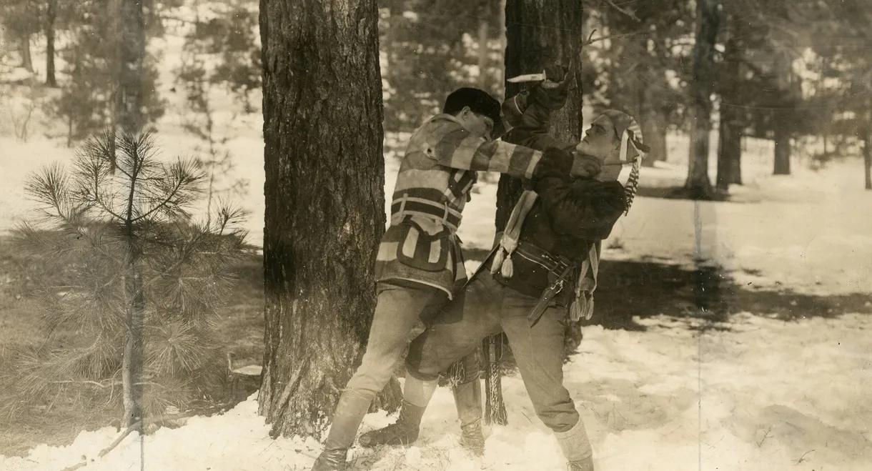 The Wilderness Trail