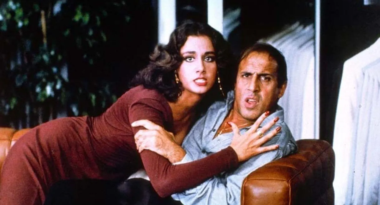 Special Features: Handsome