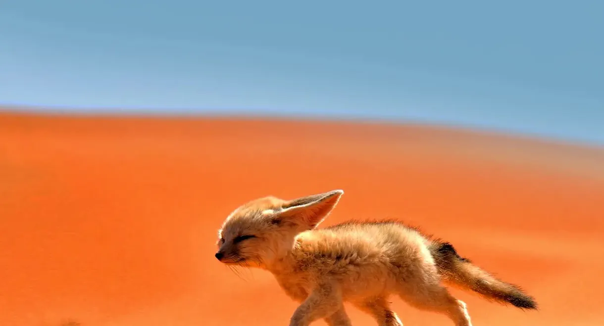 Little Dogs, Big Personalities