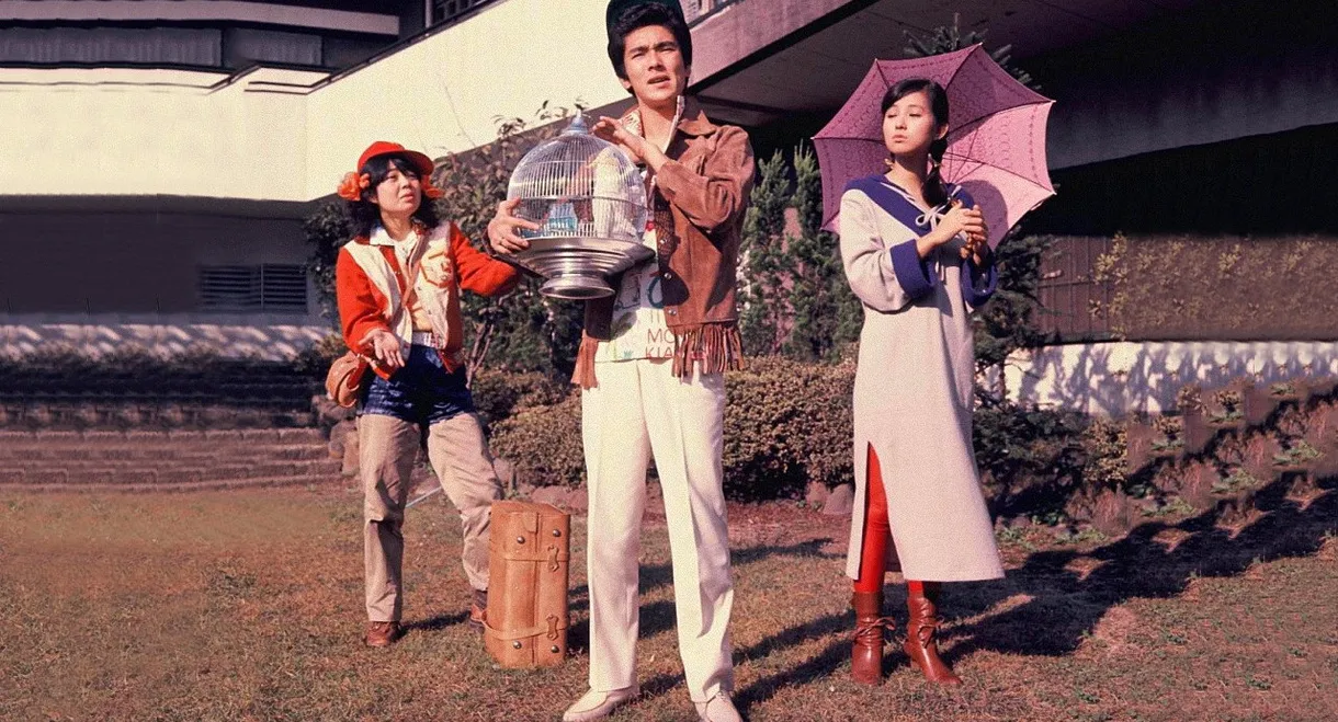 Crocodile, Parrot and Fur Seal