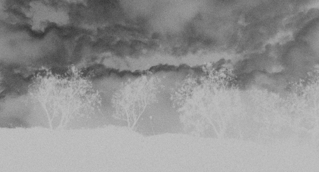 Looking Into the Sun