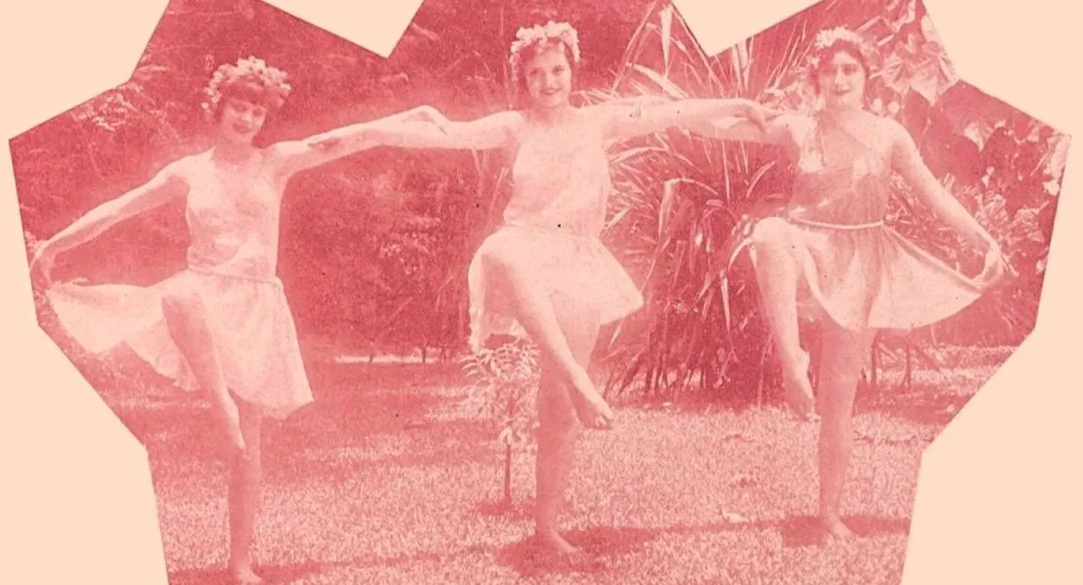 Sinfonia da Floresta