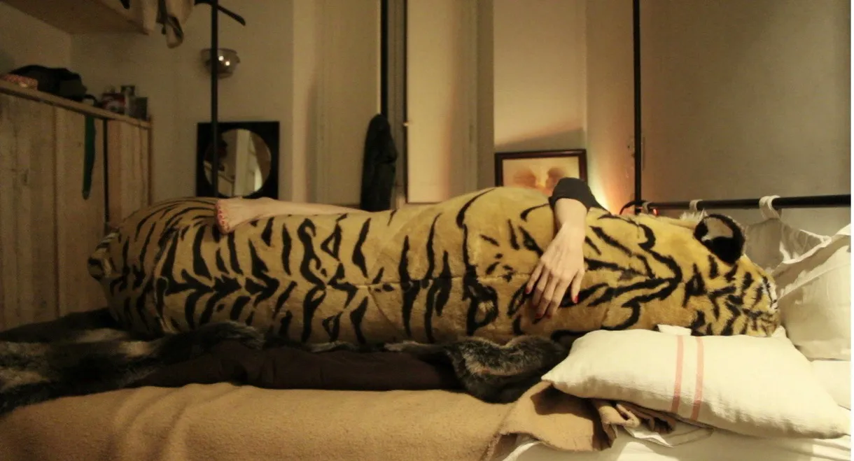 Chutzpah - qualcosa sul pudore