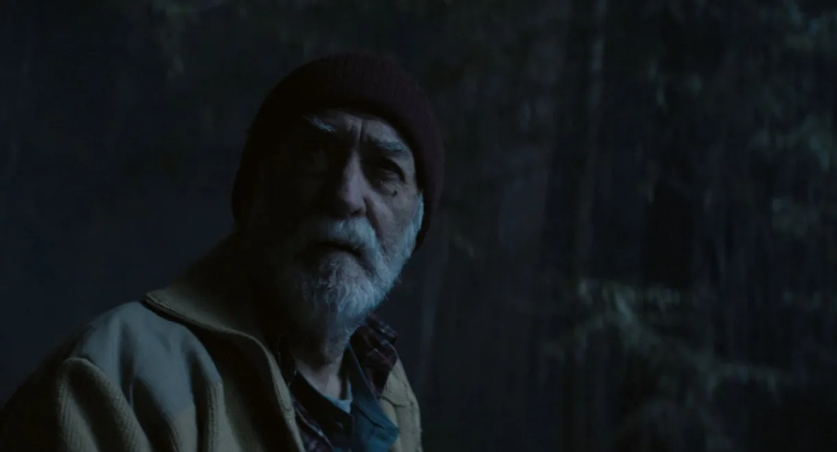 Where the pines lament