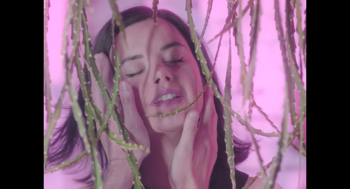 Театрален роман(с)