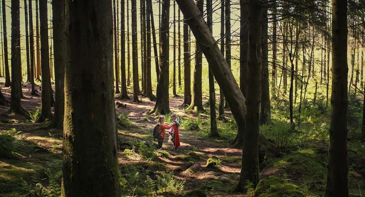 Sisters: The Summer We Found Our Superpowers