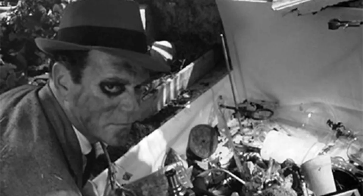 Make Your Bets Ladies